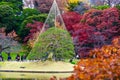 Japan historic red maple and bonsai park Royalty Free Stock Photo